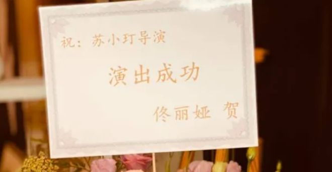 经历过“可怕的婚姻”，董璇怎么还敢二婚？