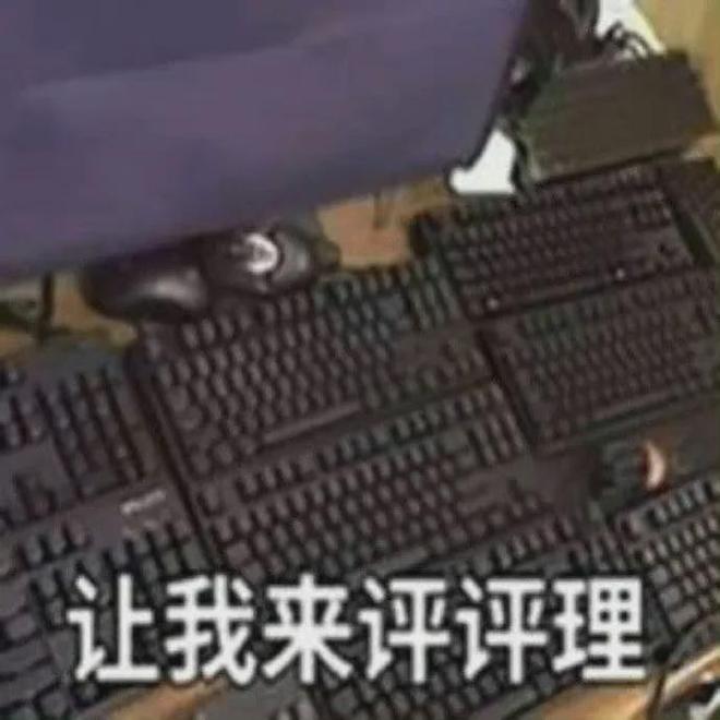 E句话|2025香港小姐14强，挺漂亮的！