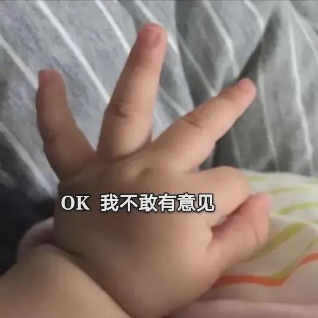 E句话|2025香港小姐14强，挺漂亮的！