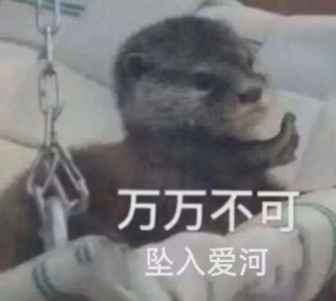 E句话|2025香港小姐14强，挺漂亮的！