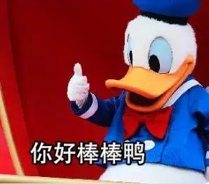 E句话|2025香港小姐14强，挺漂亮的！