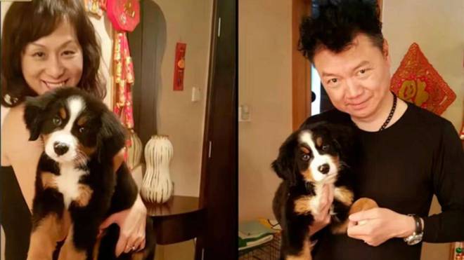 艾威海葬娇妻Lisa，因游泳相识以海葬告别，骨灰不慎整袋落海中