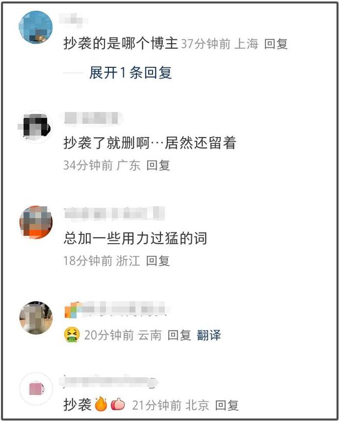 麦琳抄袭风波升级！道歉但不删视频，被抄袭博主是孕妇留言求放过