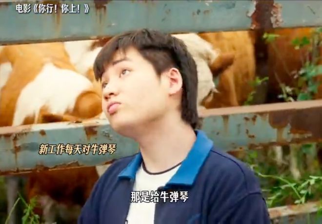 老姜，对得起观众。