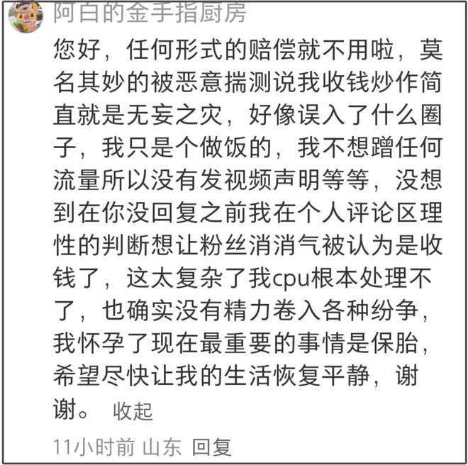 麦琳抄袭风波升级！道歉但不删视频，被抄袭博主是孕妇留言求放过