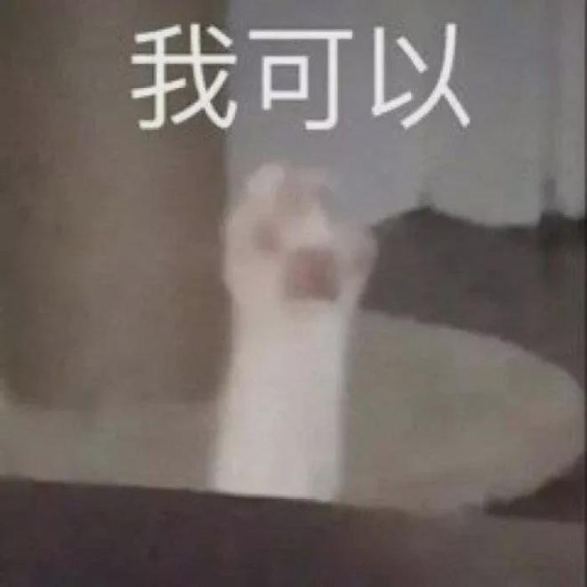 E句话|X玖少年团宣布解散