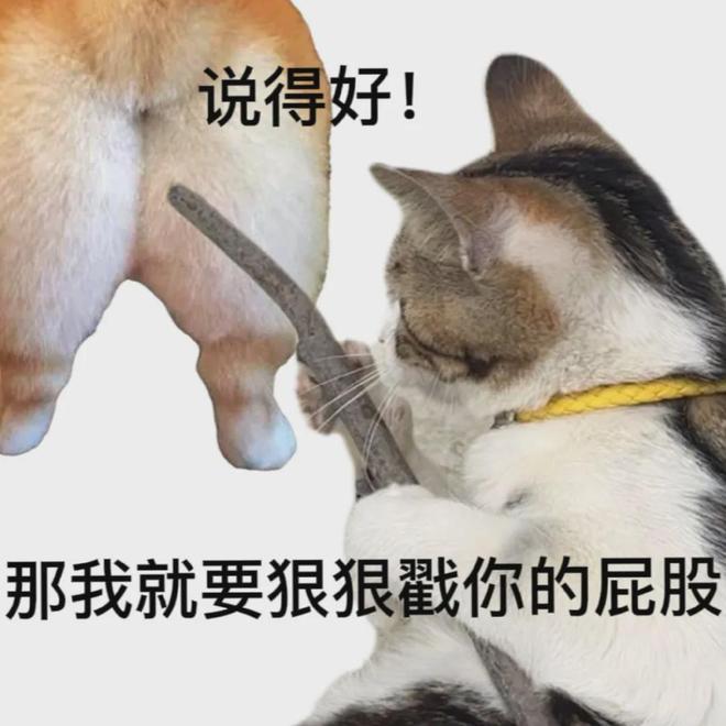 E句话|X玖少年团宣布解散
