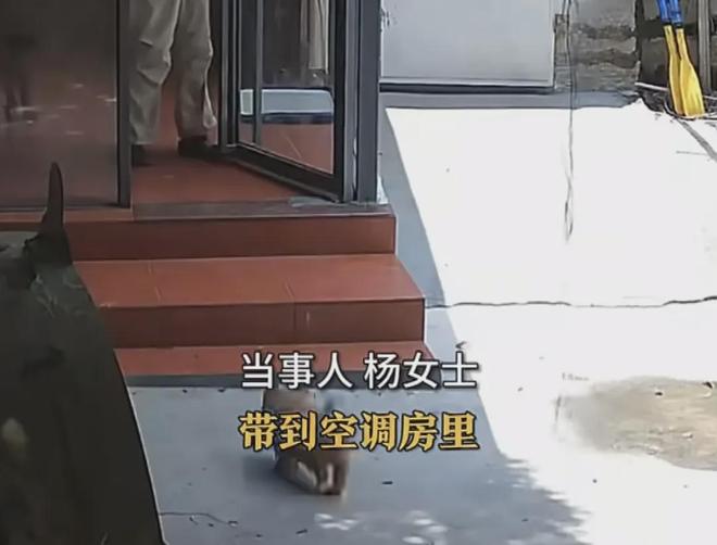E句话|X玖少年团宣布解散