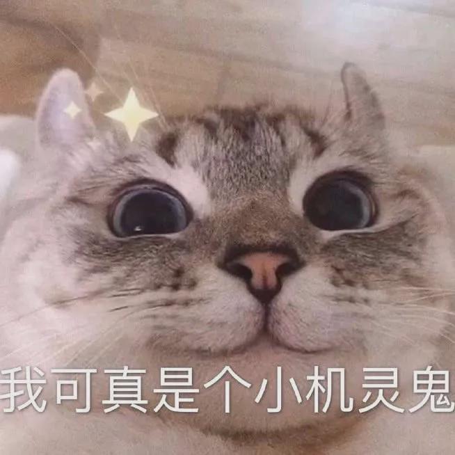 E句话|X玖少年团宣布解散