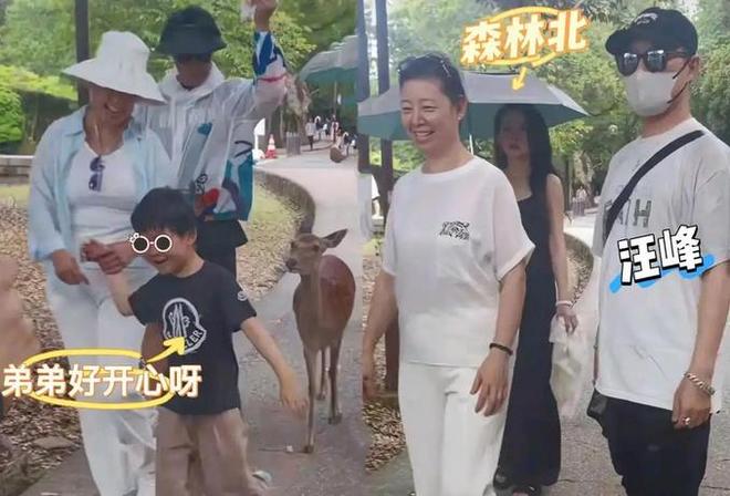 汪峰与森林北同游日本，各带各的娃互不耽误，重组家庭为啥更幸福