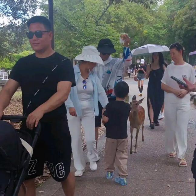 汪峰与森林北同游日本，各带各的娃互不耽误，重组家庭为啥更幸福