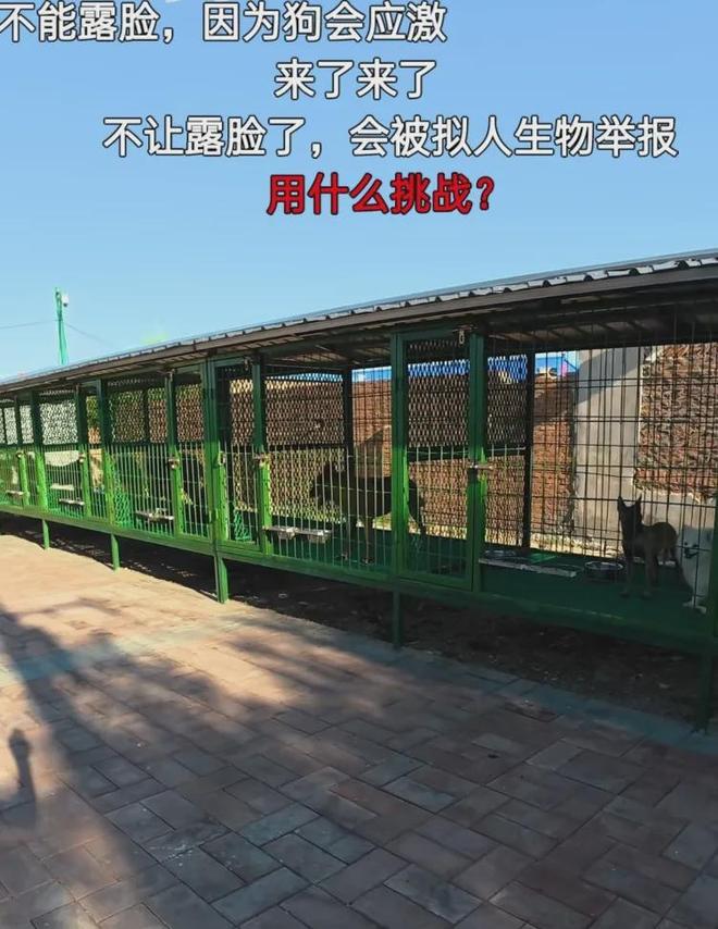 潘宏时隔8月复出喊冤，指责虐狗说是偏见，陈乔恩评论区再次沦陷