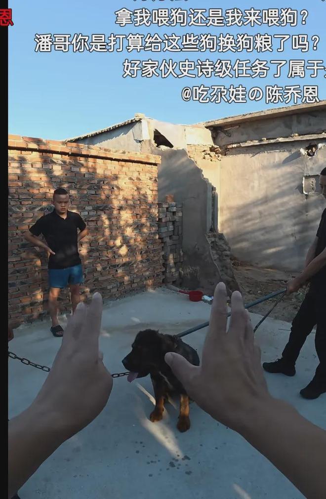 潘宏时隔8月复出喊冤，指责虐狗说是偏见，陈乔恩评论区再次沦陷