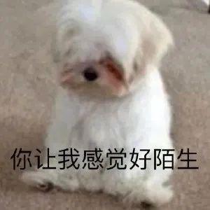 E句话 | 她回应复合而他曾被小三？