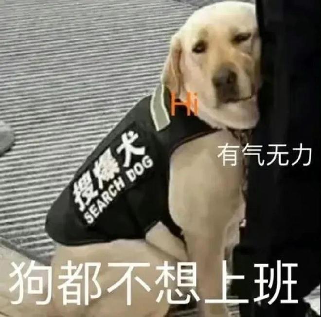 E句话 | 她回应复合而他曾被小三？