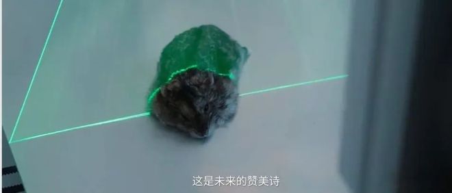 韩延的最新科幻片，确实拿出了顶级创意