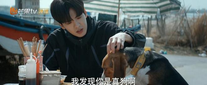 专访｜导演张笑安：希望有一天，现偶能打得过古偶