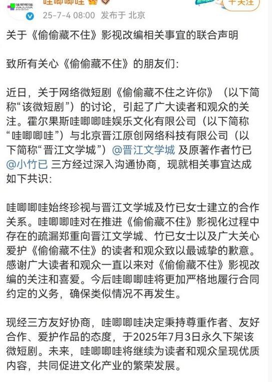 偷偷藏不住微短剧下线？哇唧唧哇向作者道歉，粉丝：拍都不该拍