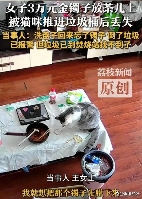 女子回应金镯子被猫推进垃圾桶丢了