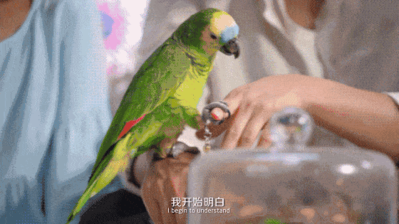 清华毕业不上班，养个女儿不上学，如今他把日子过成了这样……