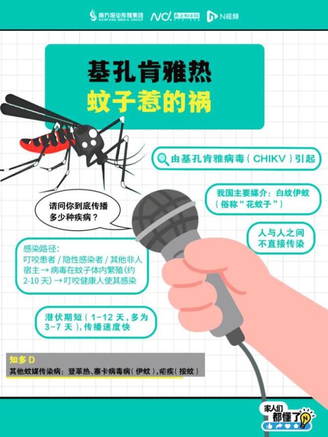 得一次基孔肯雅热是否“终身免疫”？