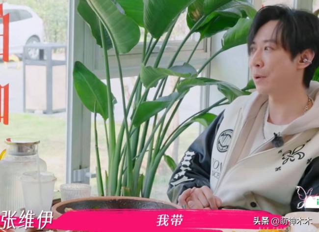 张维伊回应恶评：被吐槽下也好 催生风波再起