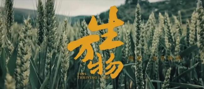 生万物宁可金救绣绣这段看哭了 封大脚逆袭成真男人