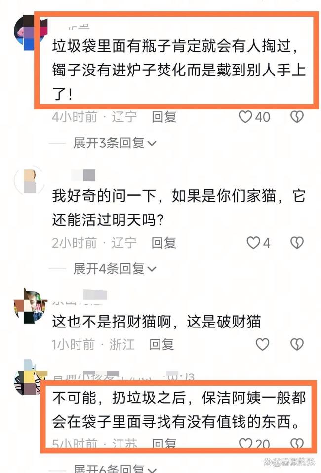 女子回应金镯子被猫推进垃圾桶丢了 猫咪“完美作案”