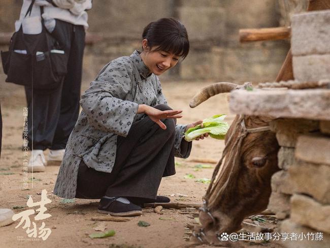 生万物万物生 土匪抢亲引发家族危机