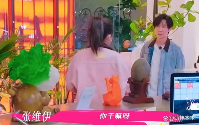 董璇张维伊综艺里吵架 姐弟恋矛盾曝光