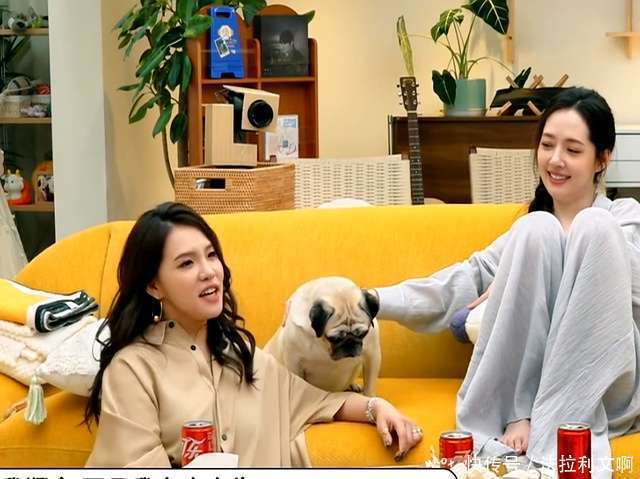 向太曝郭碧婷二胎脐带绕颈，情况一度危急，她火速决定顺转剖 豪门生娃也坎坷
