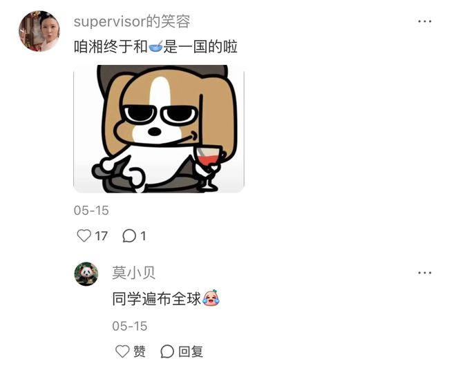 娱乐圈全面进入“Nepo baby”时代！黄多多和王诗龄是星二代天花板吗？