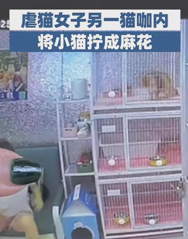 E句话 | 参加过《爸哪》的台湾男星，婚内出轨？