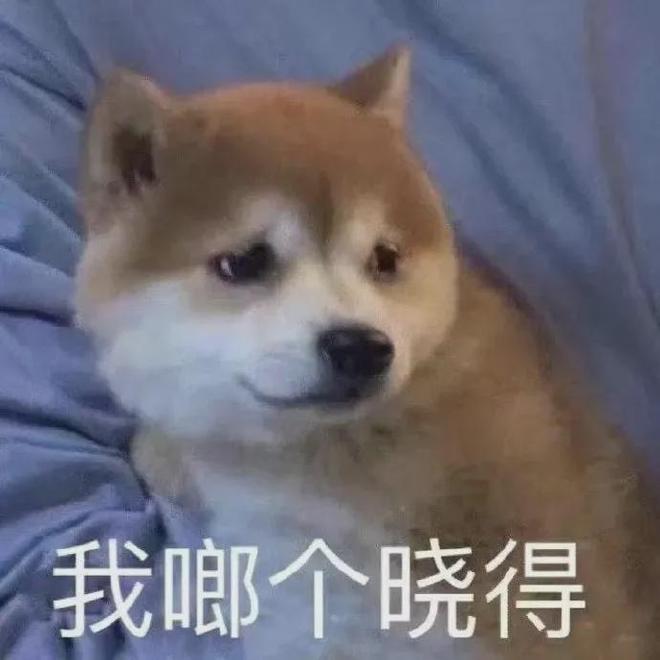 E句话 | 参加过《爸哪》的台湾男星，婚内出轨？