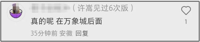 冯禧与许嵩妈妈同框！两人在男方老家挽手逛街，被曝正在筹办婚礼