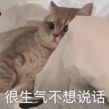 E句话 | 姐不会真要生二胎吧？