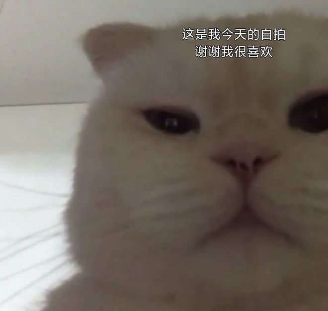 E句话 | 姐不会真要生二胎吧？