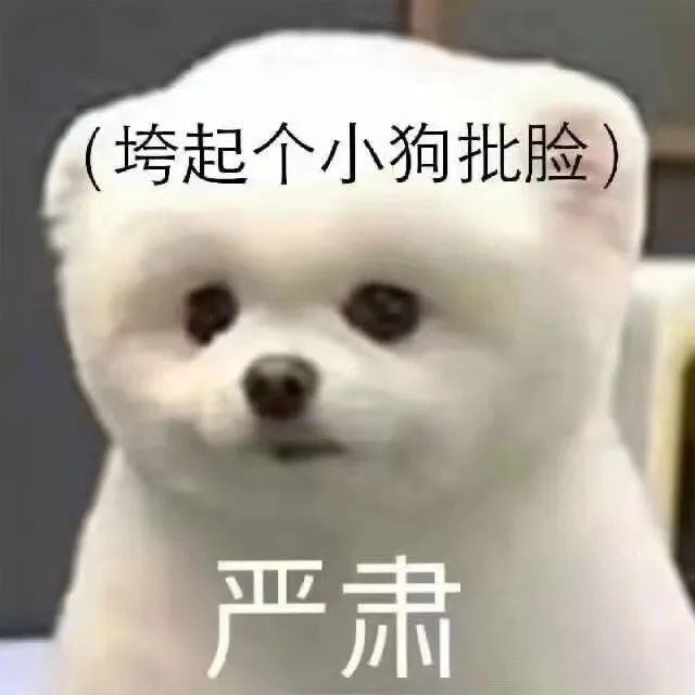 E句话 | 相恋9年，他终于求婚成功？
