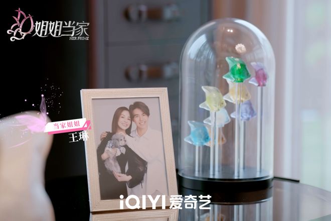 她题材分化，“姐综”如何呈现生活百态？