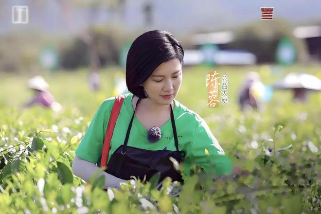 低调嫁海归生子，被吊销主持人证，甚至封杀，她都经历了什么？