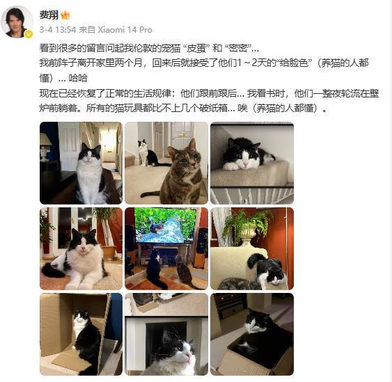 费翔不婚不育：我的婚姻之门老早就关了，结婚是不太可能了
