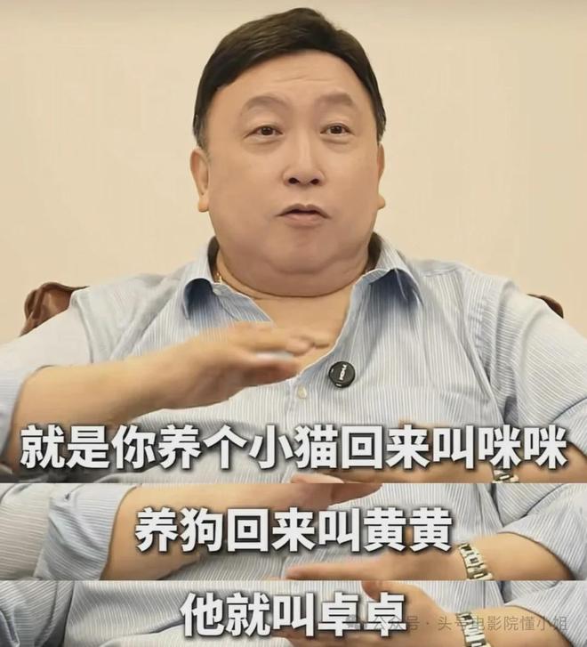 王晶谈赵文卓梅艳芳分手：不当小狼狗！李连杰接班人，已无戏可拍