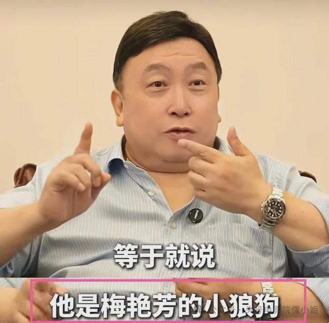 王晶谈赵文卓梅艳芳分手：不当小狼狗！李连杰接班人，已无戏可拍