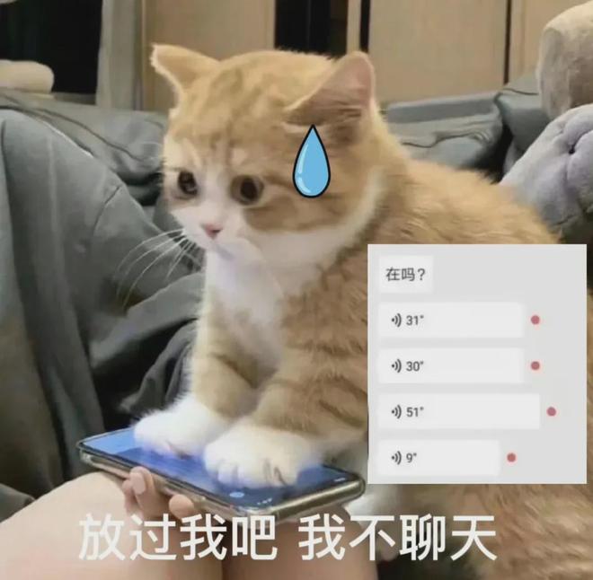 E句话 | 酒店推出宠物犬陪睡服务？想点一个！