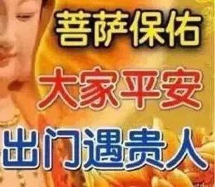 E句话 | 酒店推出宠物犬陪睡服务？想点一个！