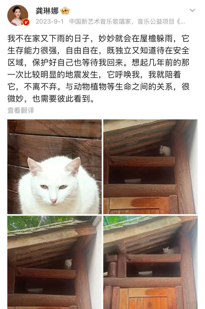 结束20年婚姻，她终于不忐忑了
