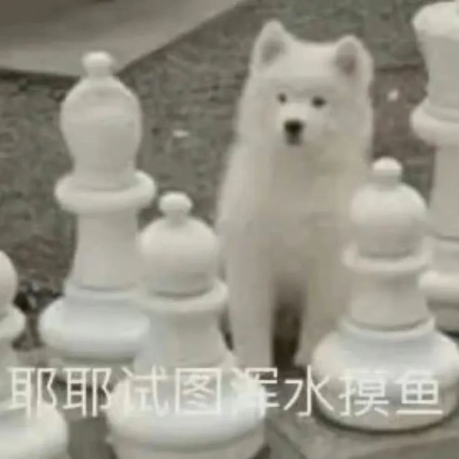 E句话 | 寄居蟹永远没有代表作？