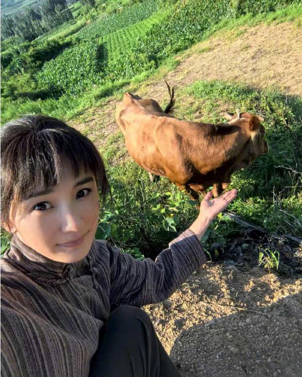 生万物稳了，杨幂爆款三连击？85花转型不仅仅靠扮丑