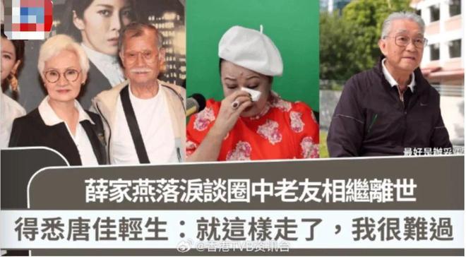 TVB绿叶演员生存报告