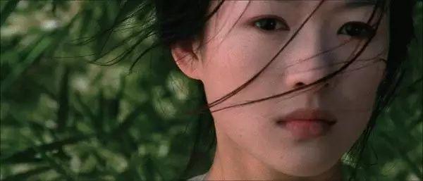 李安最被低估的杰作，帕尔玛力挺